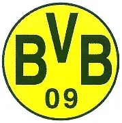 金年会 VIP 2024-多特蒙德球员名单